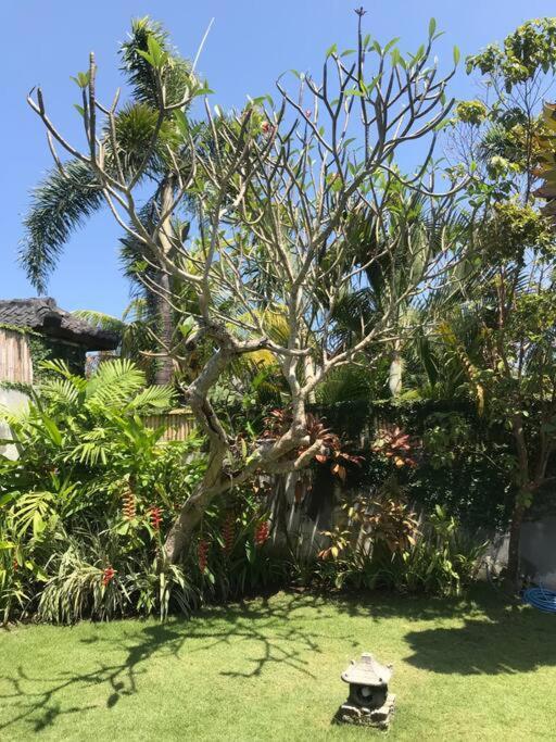 Desa Naga Villa Canggu Εξωτερικό φωτογραφία